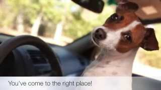 Pet Friendly Hotels Mesa, Arizona