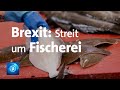Brexit-Verhandlungen: Streit um Nordsee-Fischfang