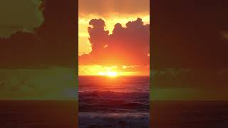 Wave Sounds for Deep Sleeping + Relaxing Piano Music • Healing Music for Peaceful Nights, Meditation