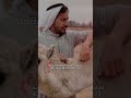 عناد الشيباني في ارض خلا في جوها سجه وراحه وانسجام