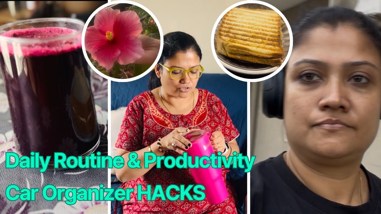 Daily Routine and productivity & Car Organizer HACKS | Must-have car accessories !