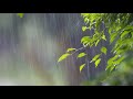 Rains Of Meghalaya  Music for relaxation