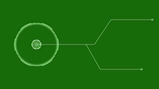 Roand Outline Element Green Screen