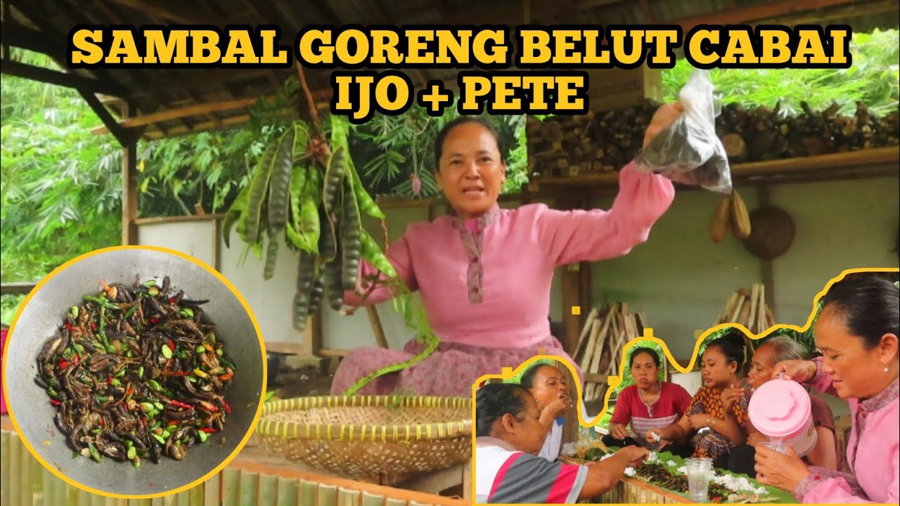 ADA TAMU BAWA BELUT BAKAR|| LASUNG DI MASAK BELUT CABAI IJO + PETE