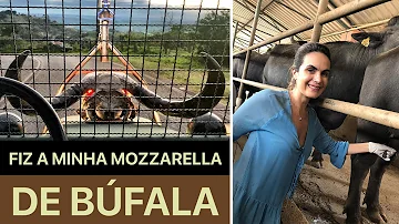 Qual a diferença entre mussarela e mussarela?