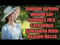 ДОМЛАМНИ КЎРСАМ, СУВИМ ОҚИБ КЕТАДИ 😢 | Юракка етган сўзлар