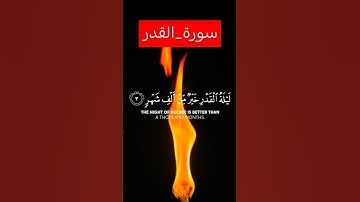 سعد الغامدي سورة القدر #quran #tilawat #قرآن #قران_كريم #اكسبلور