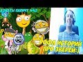 РОФЛ ИСТОРИИ ПРО ЗВЕРЕЙ! ДОНАТЫ ПАПИЧУ #42