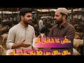Jaranwala Biggest Bakra Mandi🐑 | Danish Maan | #viral #vlog #1million