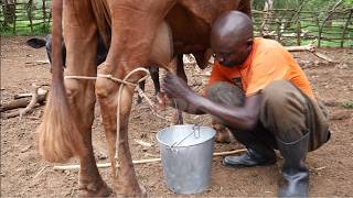 Bridging Research, Policy &amp; Community Action | AGRIFOSE2030 Highlights Local Impact