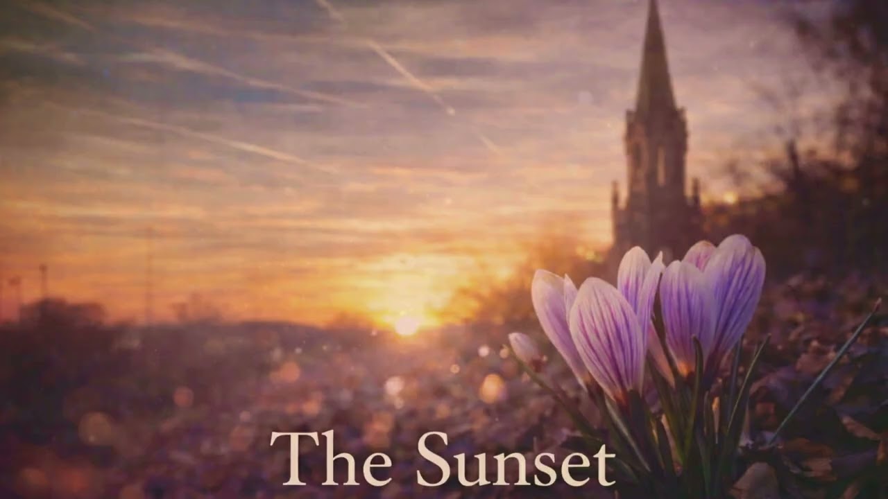 The Sunset