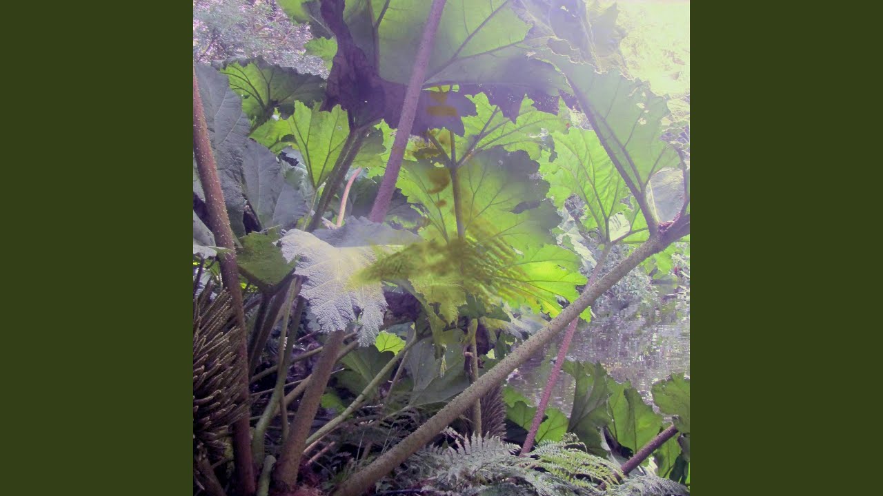 Basic Magick / 33 80s (Bonus Track)