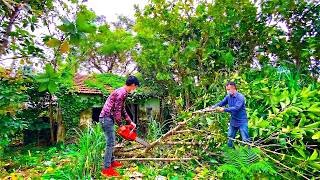 Nobody would mow this terrifying lawn — so we stepped in for a rescue | Zen Clean Up screenshot 1
