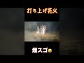 武蔵、サイゾウ、むぅーお姉さんの打ち上げ花火 #shorts