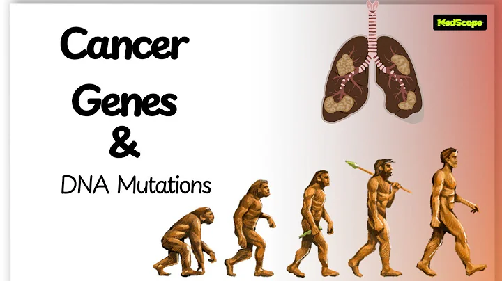 Is CANCER Caused By You Or Your Genes?