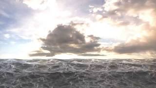 CGI Ocean Simulator-NIKI 3D