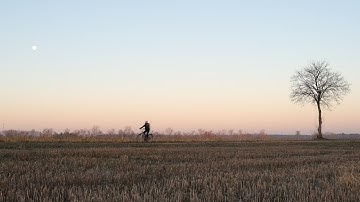 The Problem With Minimalism