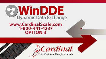 WinDDE Training Video