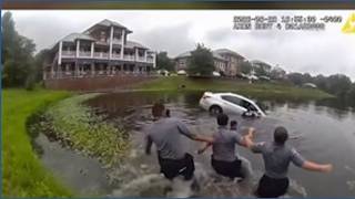WATCH: Officers form human chain to rescue driver trapped in a sinking car