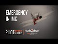 Pilot Short Story: Emergency in IMC