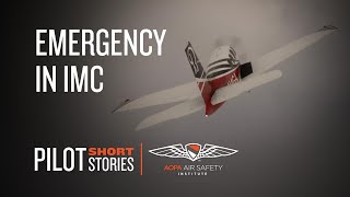 pilot short story: emergency in imc