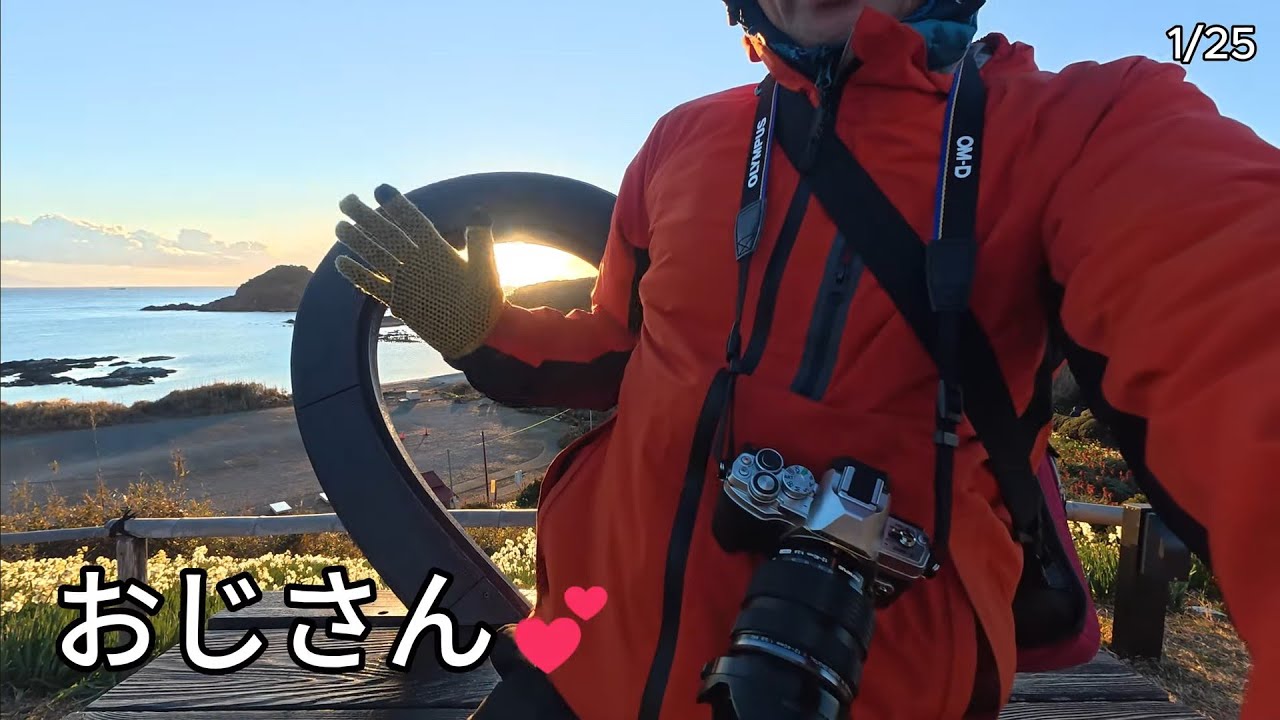 【花の絶景】夜明けの伊豆半島 下田へ　海辺に咲き誇る300万本のスイセンと朝日に癒やされる休日｜爪木崎　伊豆vlog#10