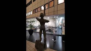 University Medical Center Groningen