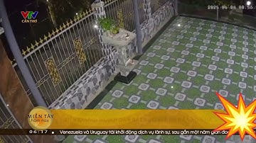 Người dân ở Tiền Giang bất ngờ bị nhóm người lạ mặt ném đá vào nhà - 🎥 VTV