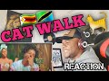 Uncle Epatan Ft Rayvanny Cat Walk REACTION mp3