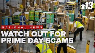 Cybersecurity expert warns shoppers to watch for fake sites, phishing scams for Prime Day