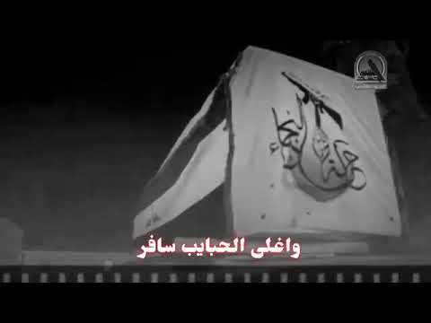 هاجر حبيبي