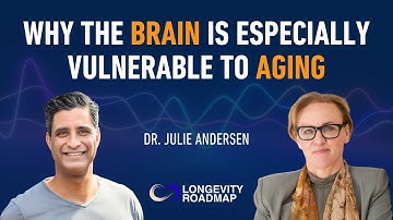Waarom de hersenen bijzonder kwetsbaar zijn voor veroudering @buckinstituteforresearchon4229