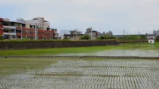 【20200813】8207次 DT668試運轉