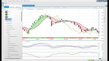 Does Vantage Point Software really work ? .... Watch this !