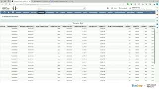 BlueSnap's Global Payment SuiteApp for NetSuite Demo Part Three