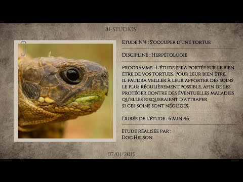 Vidéo: Comment Prendre Soin D'une Tortue