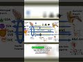 2-Minute Efferent Fiber: Nucleus Ambiguus to Pharyngeal Plexus #shorts