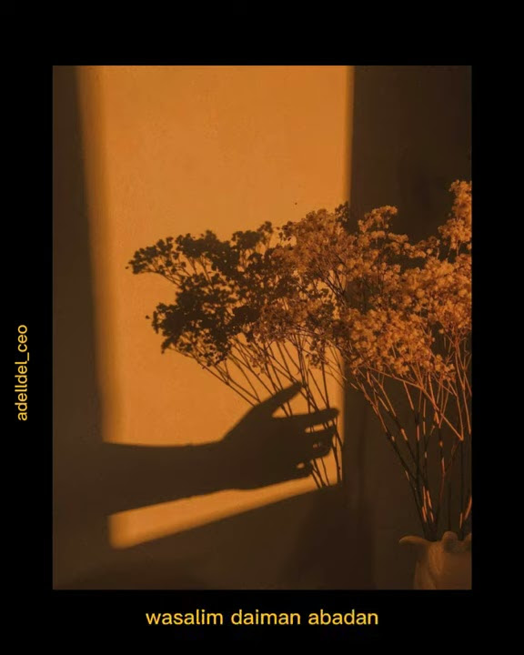 story wa muhhamad hadi asegaf