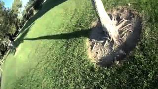 RotorX Atom park session (RAW)