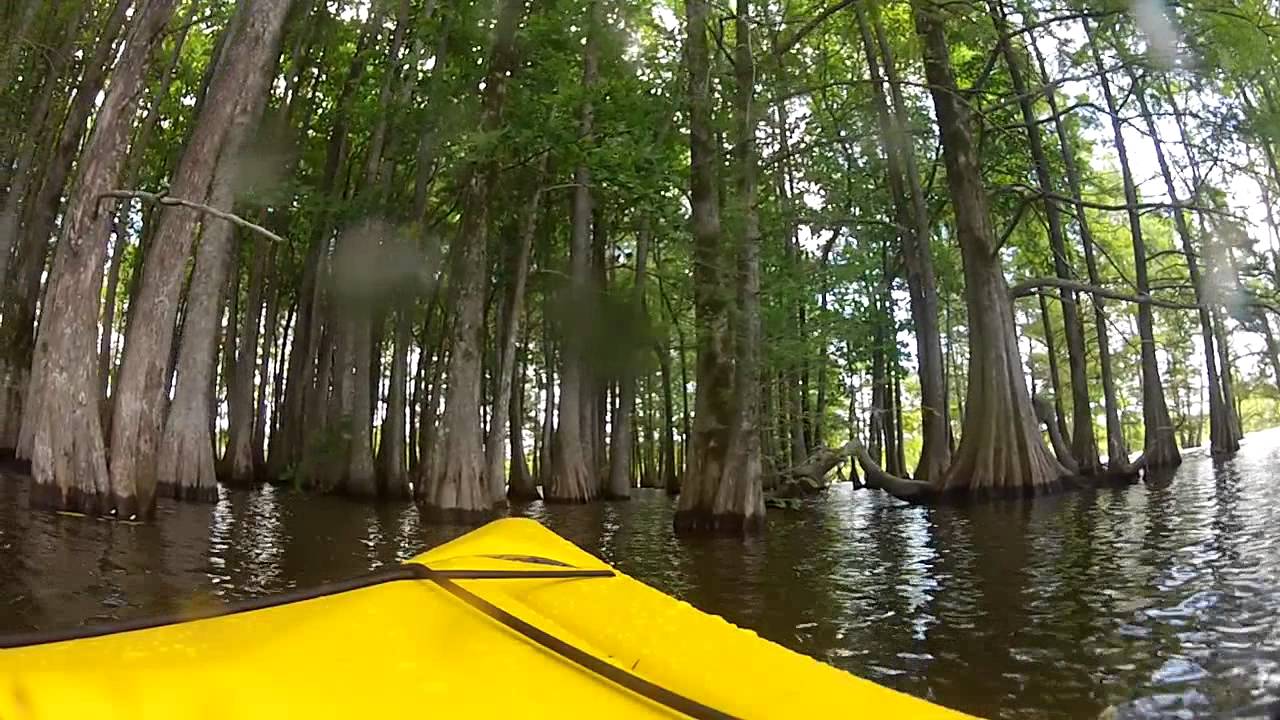 Kayaking on Lake Marion YouTube