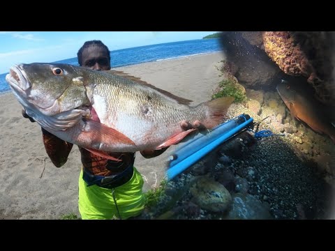 GIANT MUTTON SNAPPER CAUGHT TODAY IN CRYSTAL CLEAR WATER WAIT FOR IT STRONG RIPPING CURRENT