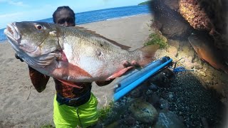 GIANT MUTTON SNAPPER CAUGHT TODAY IN CRYSTAL CLEAR WATER WAIT FOR IT STRONG RIPPING CURRENT