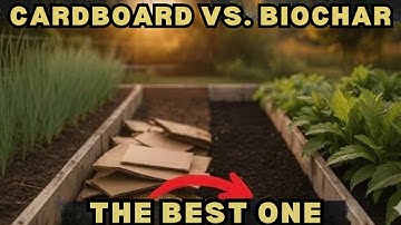 This Cardboard Vs Biochar Test Destroyed Everything I Thought I knew about Soil