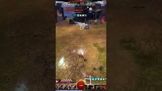 Life 80 Roaming WvW #short #guildwars2 #roaming