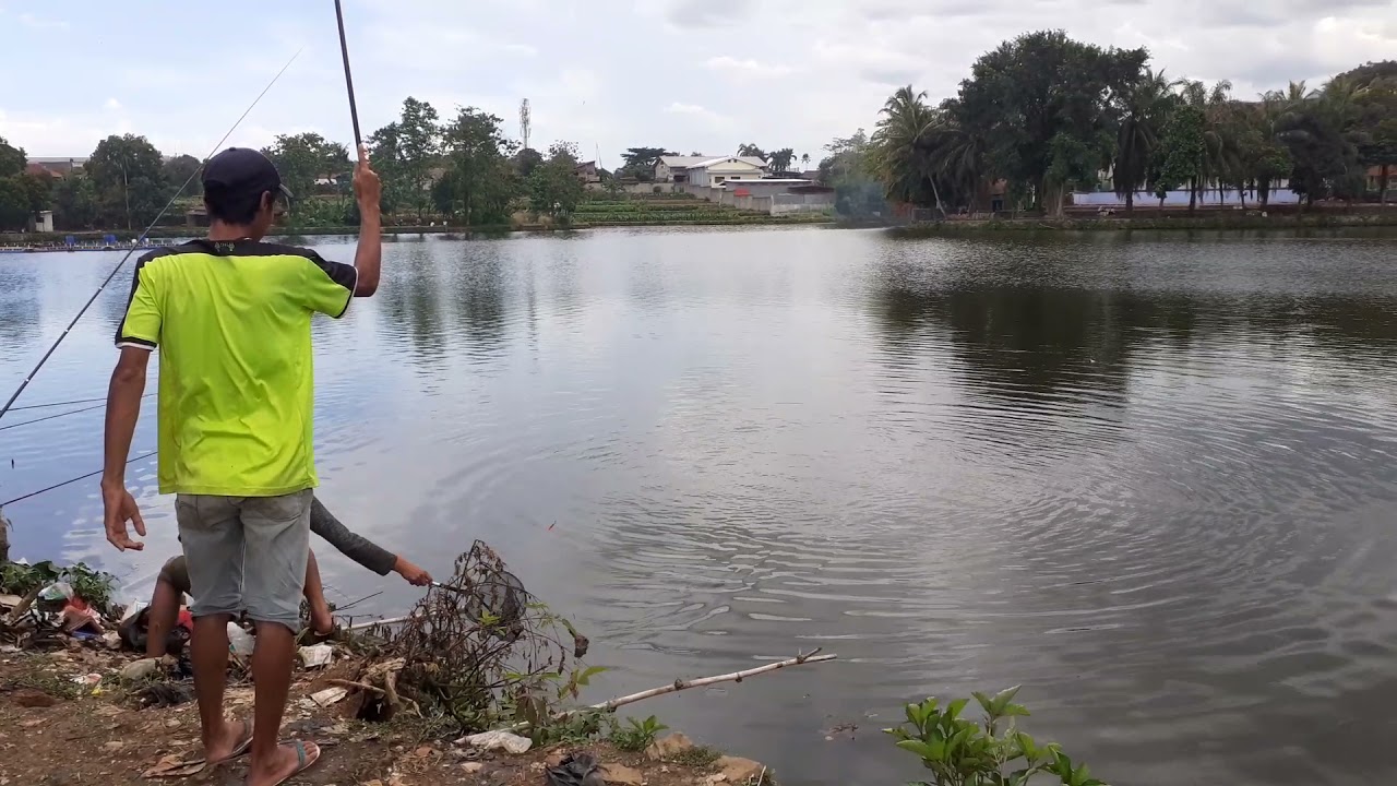 setu borces ternyata banyak nila babonnya