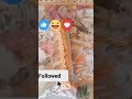 new neck design