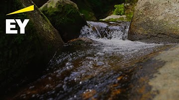 The EY AI & Data Challenge aims to bring safe water to all.