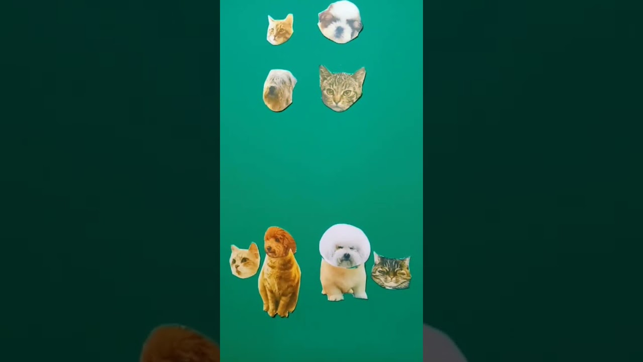 Sweetest Things! || WRONG HEAD CHANGE || Oye Playful Puzzle 