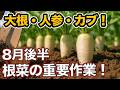 Start growing root vegetables for fall and winter! A thorough
