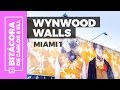 Tour por Wynwood Walls :: Qué hacer en Miami #1 ✈🇺🇸
